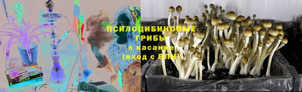 таблы Верея