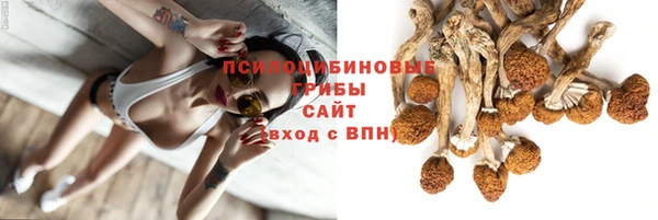 стаф Верхний Тагил