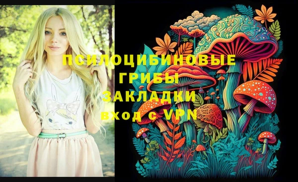 стаф Верхний Тагил