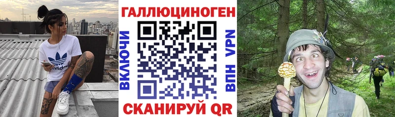 Галлюциногенные грибы Psilocybe  Нальчик 